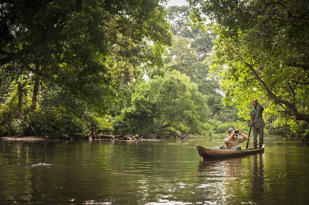 Конго: интересные факты о реке и стране | интересный сайт