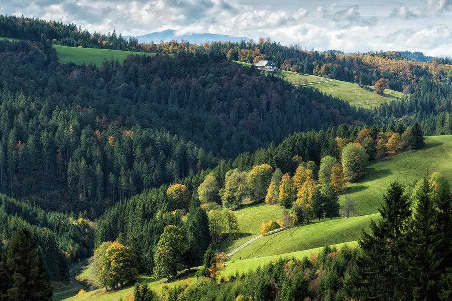 Шварцвальд - черный лес в германии - как добраться из фрайбурга - униан