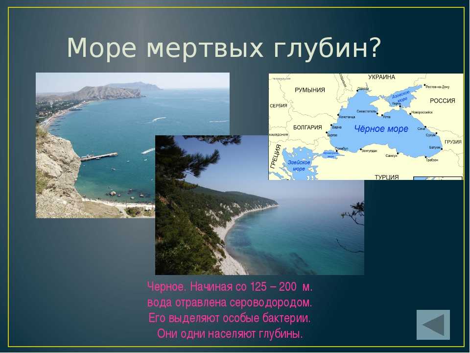 Описать черное море по плану