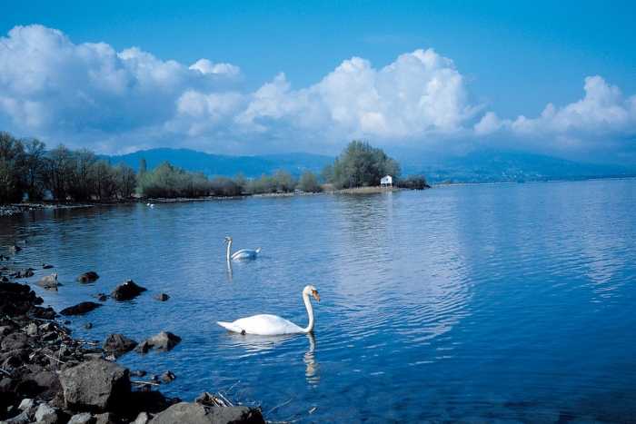Список охраняемых территорий в районе боденского озера