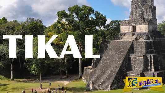 Национальный парк тикаль (parque nacional tikal) описание и фото - гватемала