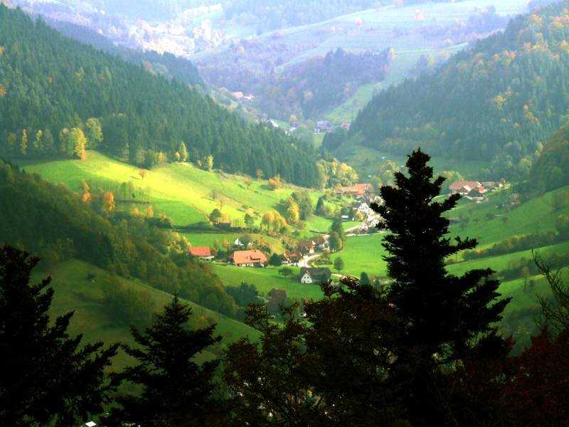 Шварцвальдский лес в германии - мистические легенды | легенды и миф, мифология и фольклор | багира гуру