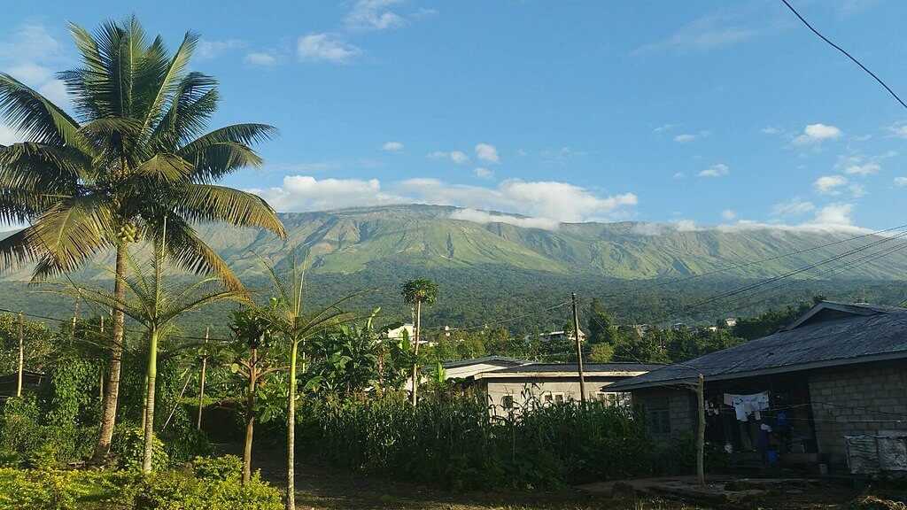 Буэа — город на юго-западе Камеруна, столица Юго-западной провинции, центр департамента Фако Население – 300 тыс человек (данные 2013 года) Буэа является отправной точкой для подъёма на вершину вулкана Камерун