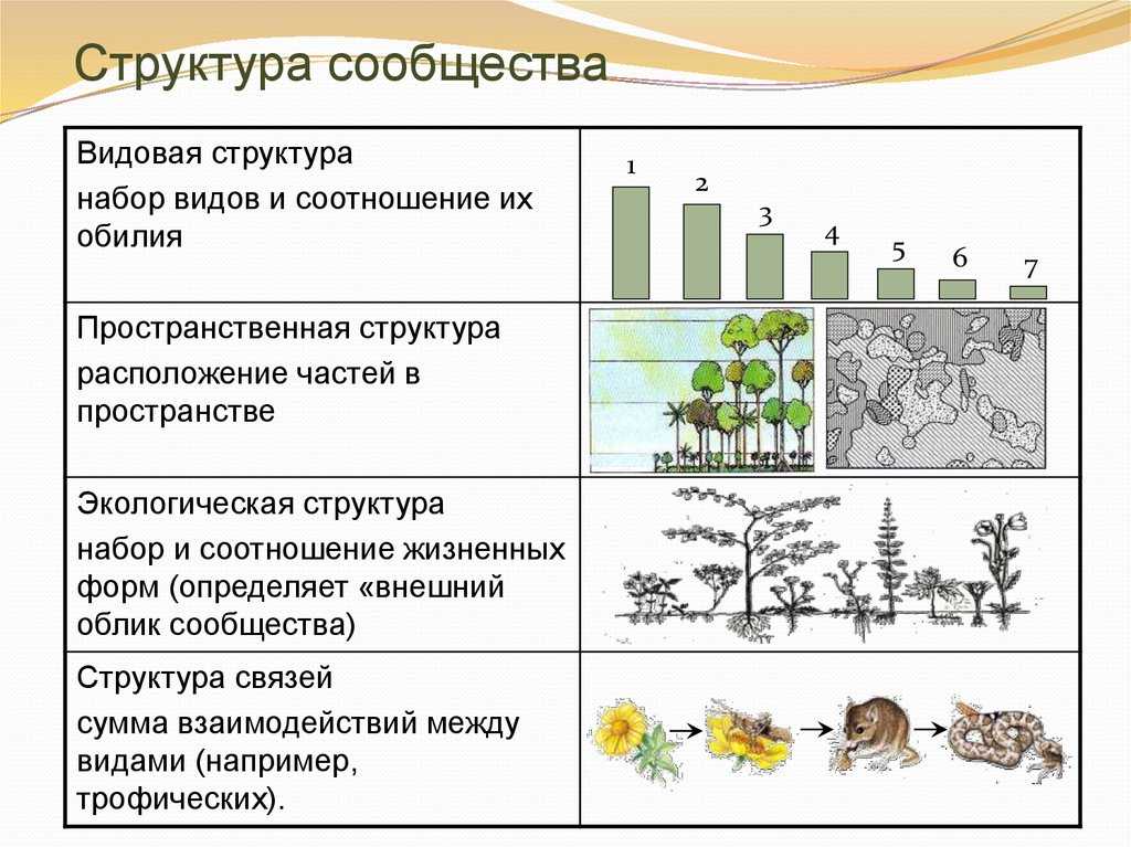 Природные зоны евразии – описание, климат, почвы, животные и растения — природа мира