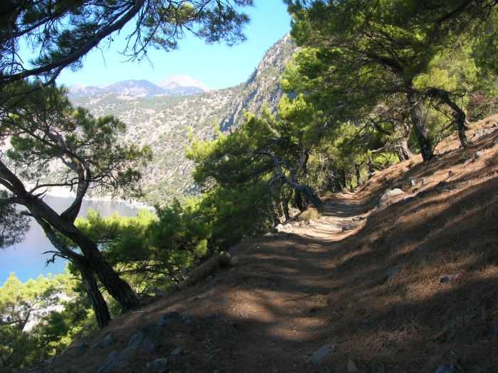 Ущелье самария крит (греция): описание, маршруты, как добраться