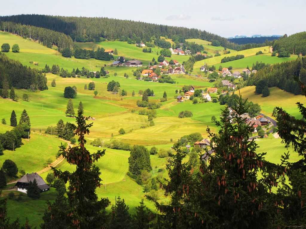 Шварцвальдский лес в германии: путешествие в сказку