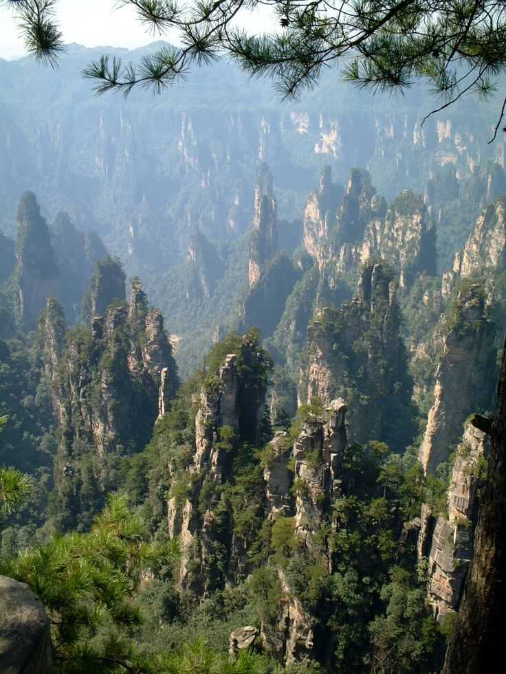 Национальные парки циндао (китай)