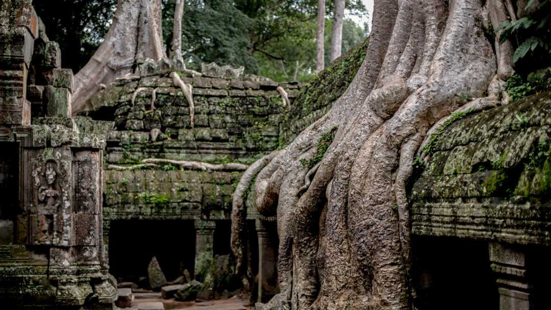 Бесплатная загрузка | ангкор ват байон таиланд храм ангкор тхом, камбоджа ангкор ват каменная стена, здание, фотография, пейзаж png | pngwing