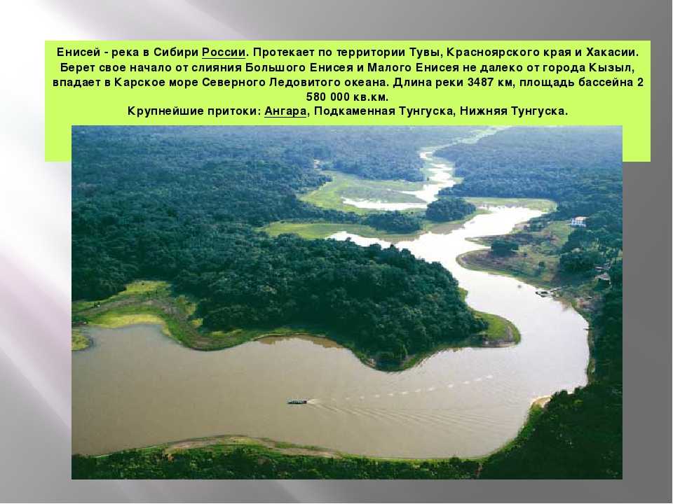 Леса амазонки - тропические и влажные леса, фото и видео, карта амазонки