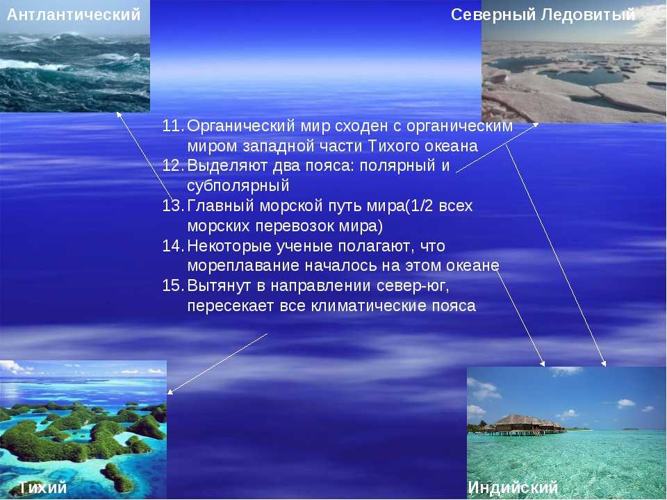 Море бофорта: где находится, какие страны омывает? :: syl.ru