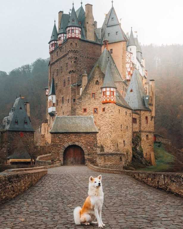 Замок эльц, архитектурный символ германии | tourpedia.ru