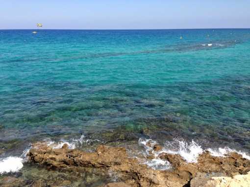 Акулы на побережье турции в средиземном, мраморном, эгейском морях • вся планета