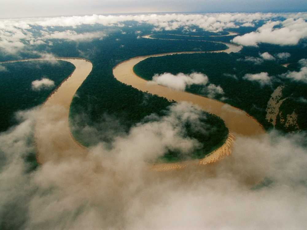 Леса амазонки - тропические и влажные леса, фото и видео, карта амазонки