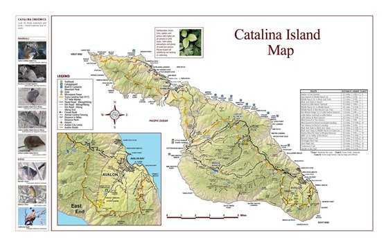 Подробные, детальные карты острова сими с возможностью скачать или распечатать