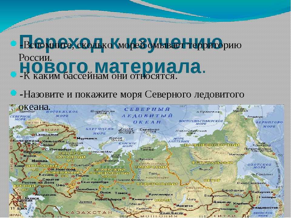 Моря россии в таблице омывающие страну (8 класс, география)