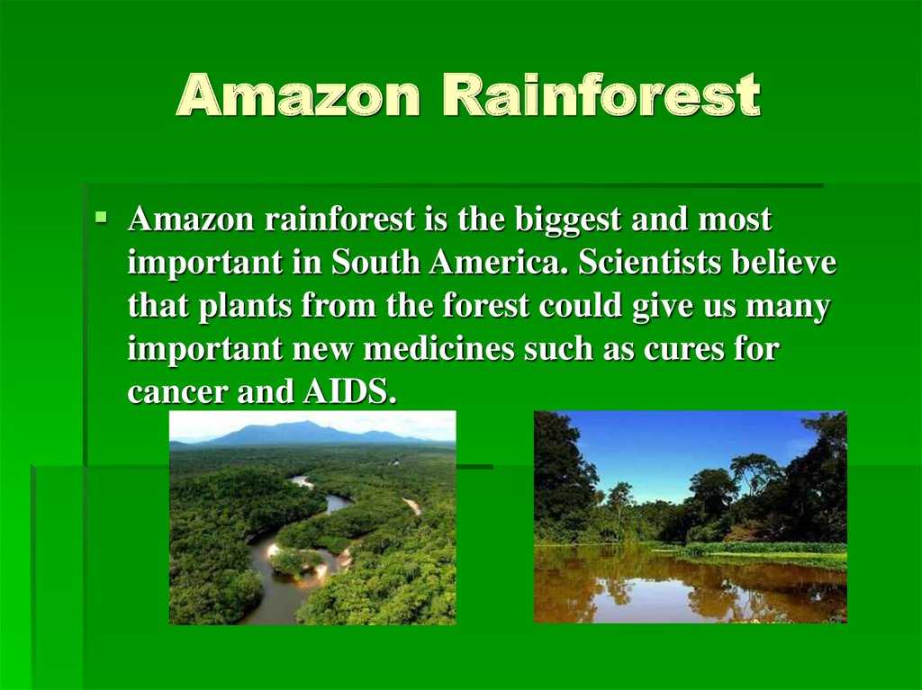 Бассейн амазонки - amazon basin