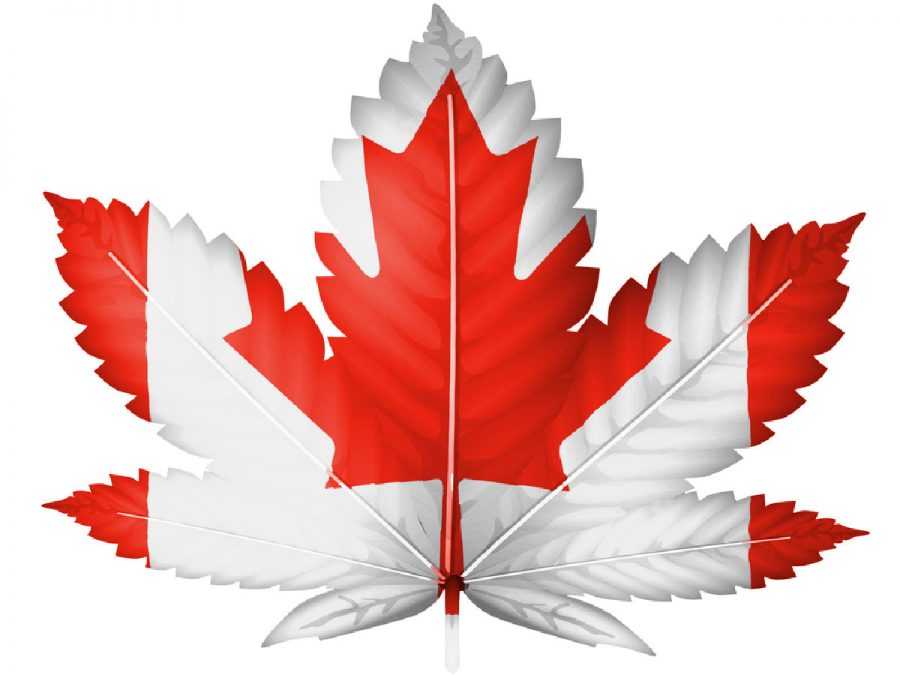 Квебек снова впереди канады всей. главные новости страны сегодня