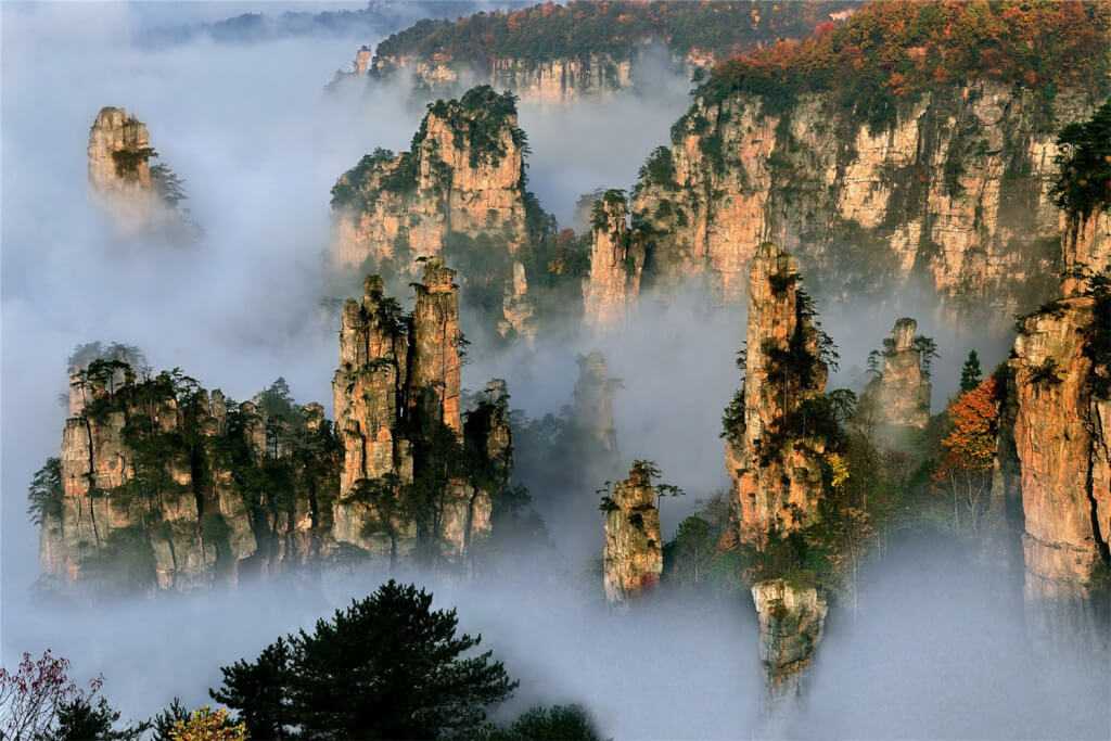 🏞 национальные парки чжанцзяцзе (китай): заповедники, рейтинг 2021, как добраться, отзывы, карта, описание