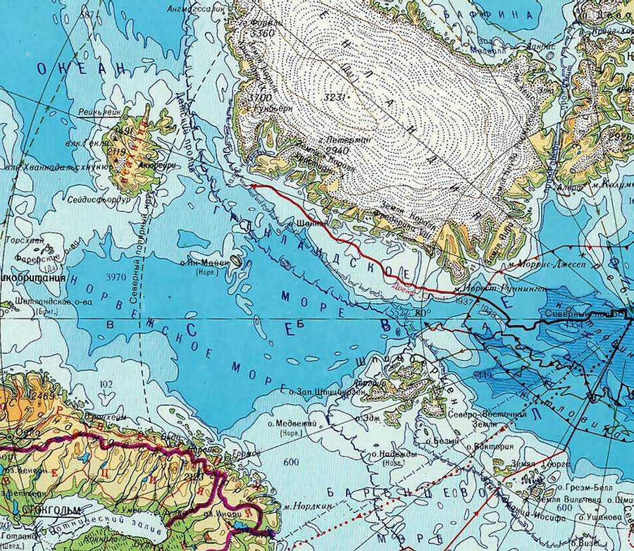 Особенности северного моря: морские обитатели севера, интересные факты о рельефе