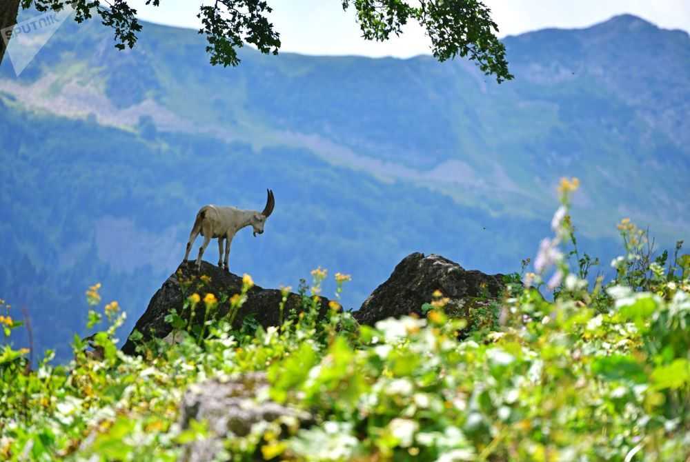 Уникальнейшее место в грузии – гора мтацминда. самые популярные аттракционы
