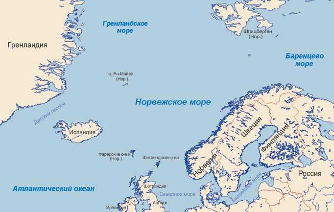 Особенности северного моря: морские обитатели севера, интересные факты о рельефе