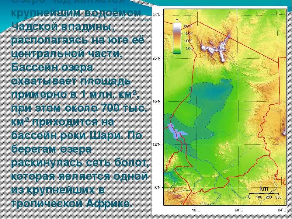 Что такое чад? географическое положение и описание озера :: syl.ru