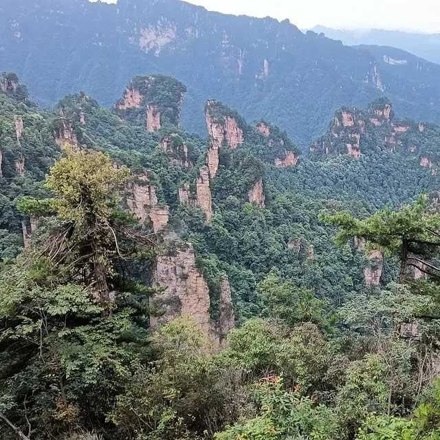 Национальный парк янминшань, тайвань — сайт, где находится, отзывы, экскурсии, как добраться | туристер.ру