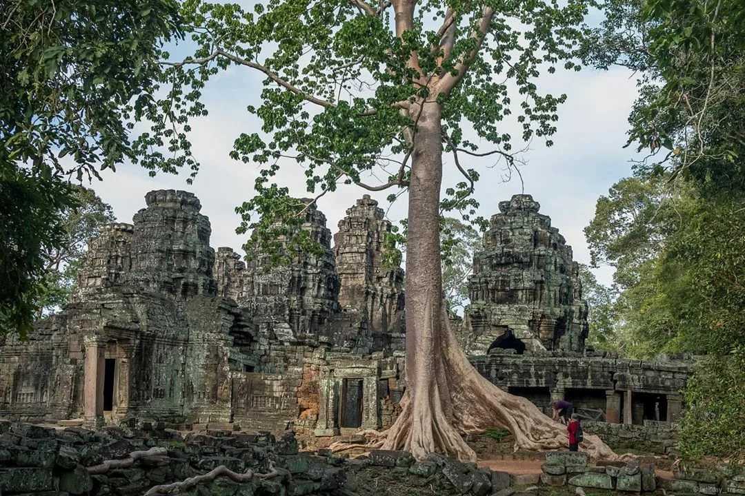 Храм ангкор ват (angkor wat)- самый знаменитый храм камбоджи