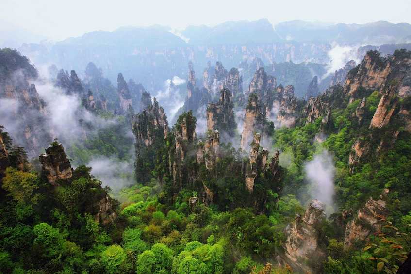 Национальный парк чжанцзяцзе: описание и фото