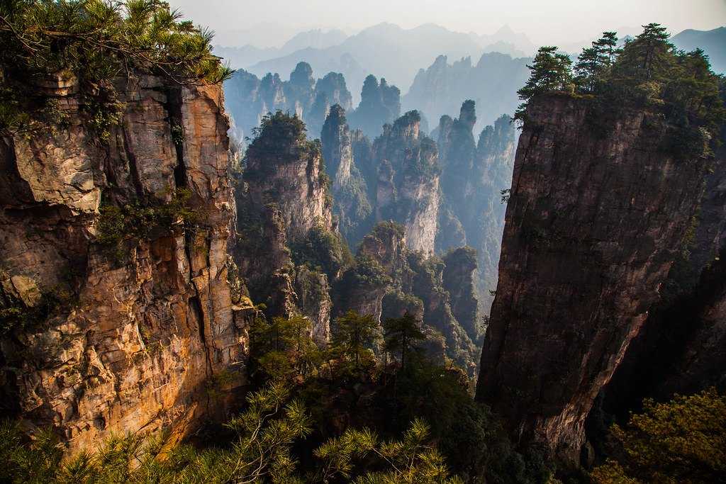Чжанцзяцзе национальный парк – гора аватар | чайна хайлайтс