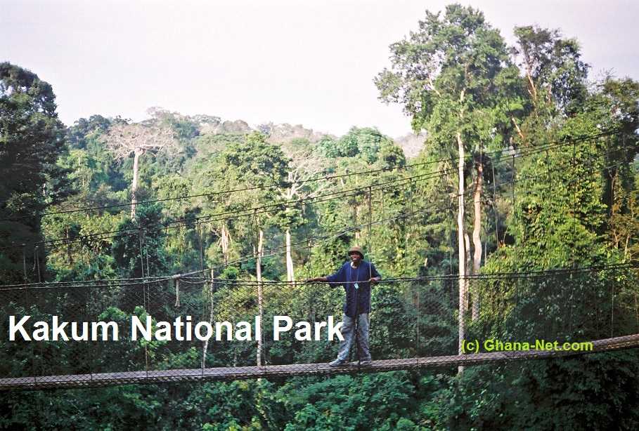 Национальный парк какум