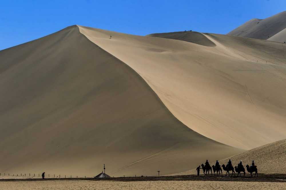 Пустыня гоби - gobi desert