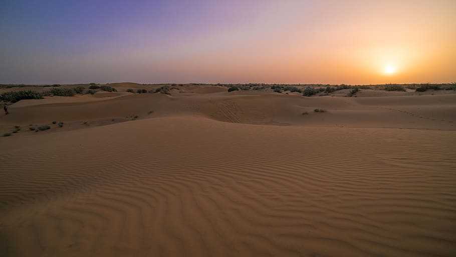 Пустыня гоби: история, местонахождение, размеры и температура - gkd.ru