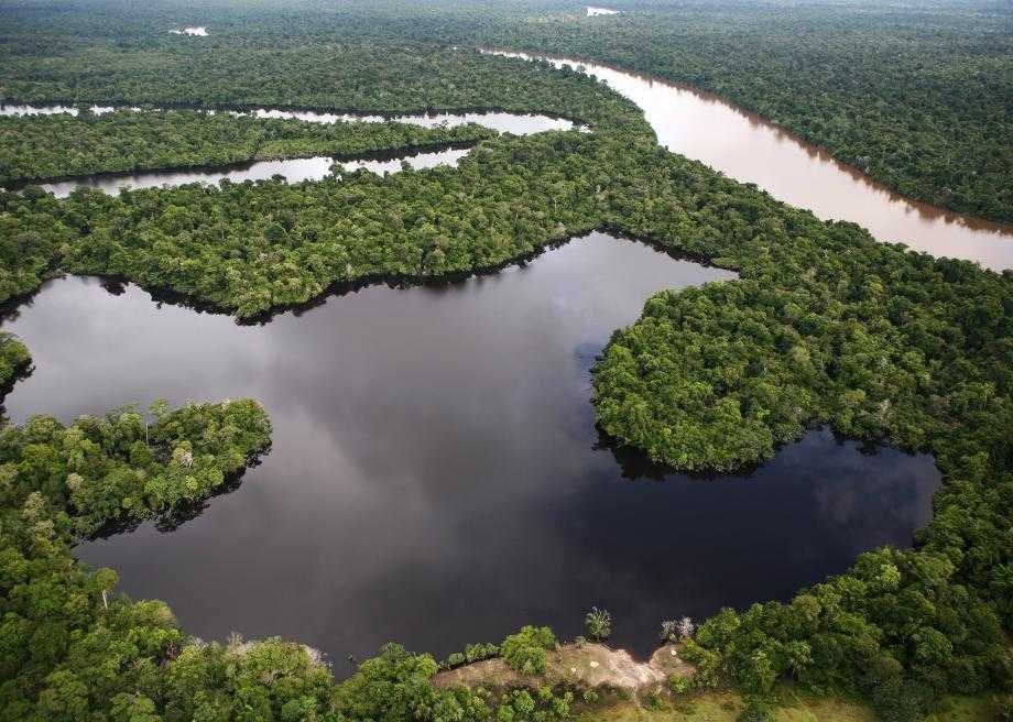 23 интересных факта об амазонке