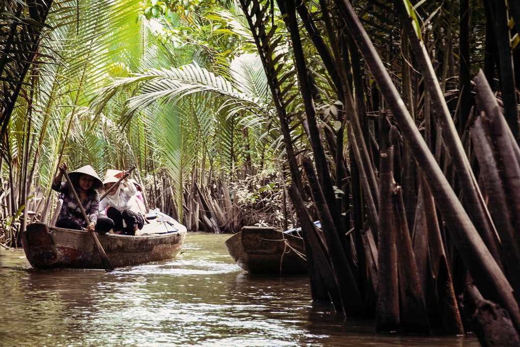 Река меконг — описание, характеристики