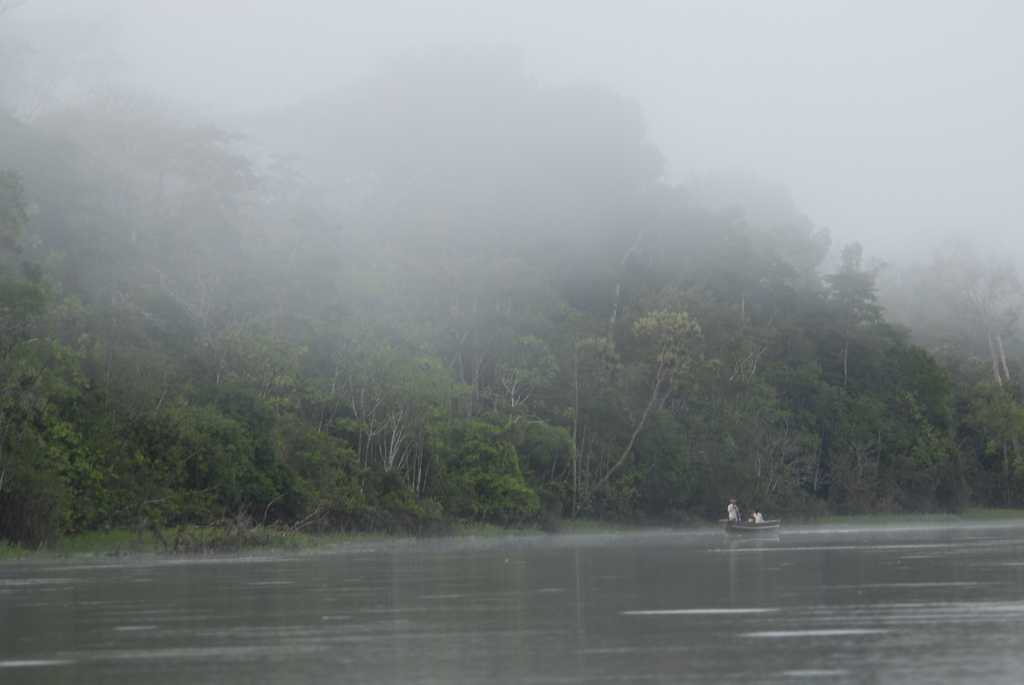 Амазонка-описание с фото самой опасной реки