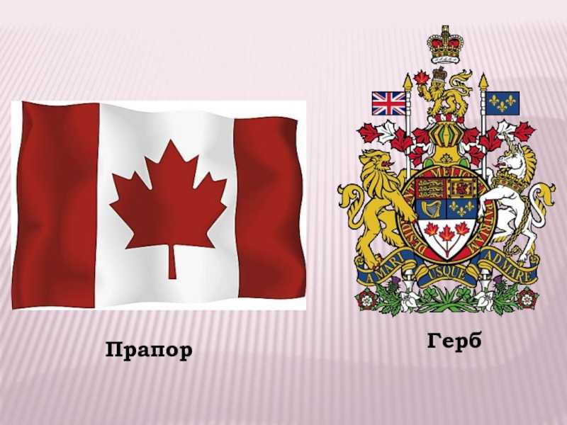 Флаг канады - цвета, история возникновения, что обозначает