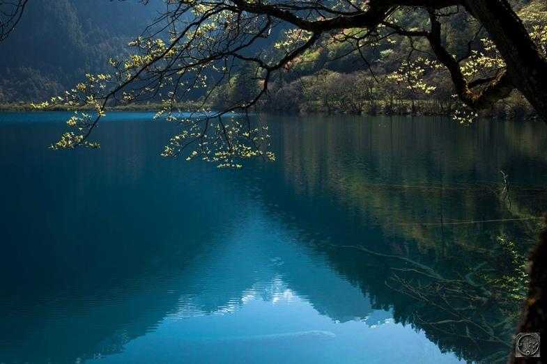Поянху (озеро)