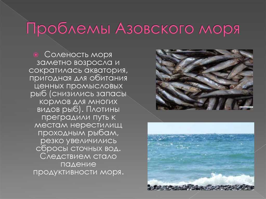 История черного моря: происхождение, древние названия • вся планета