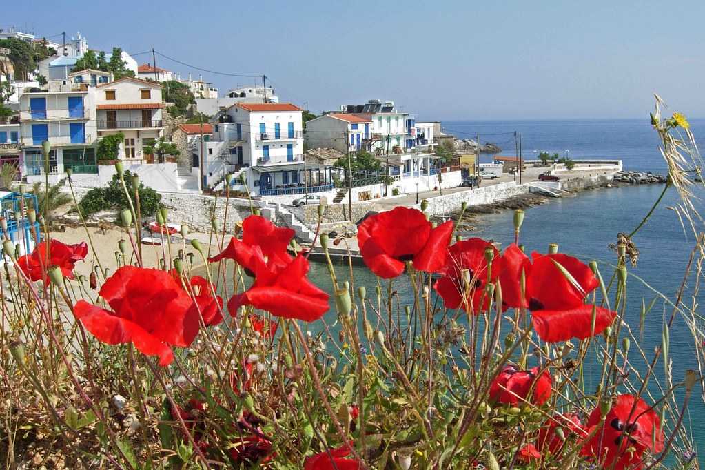 Остров долгожителей. интересные факты (остров икария, греция) | vilingstore