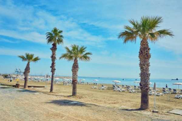 Ларнака, кипр — отдых, пляжи, отели ларнаки от «тонкостей туризма»