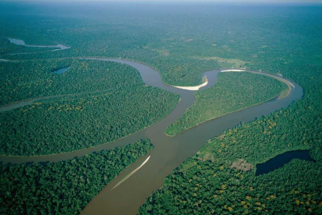 Интересные факты об амазонке