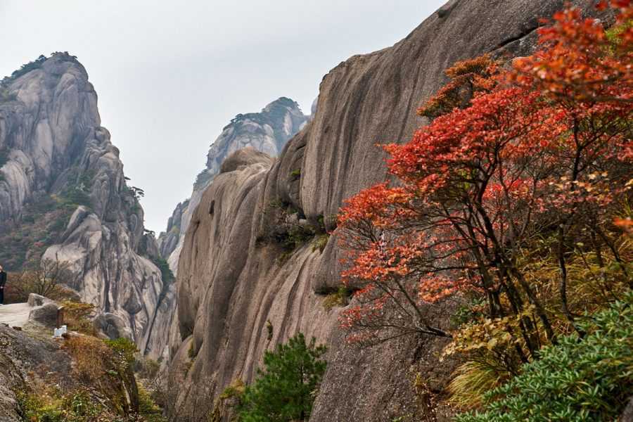 Национальные парки китая: названия и фото