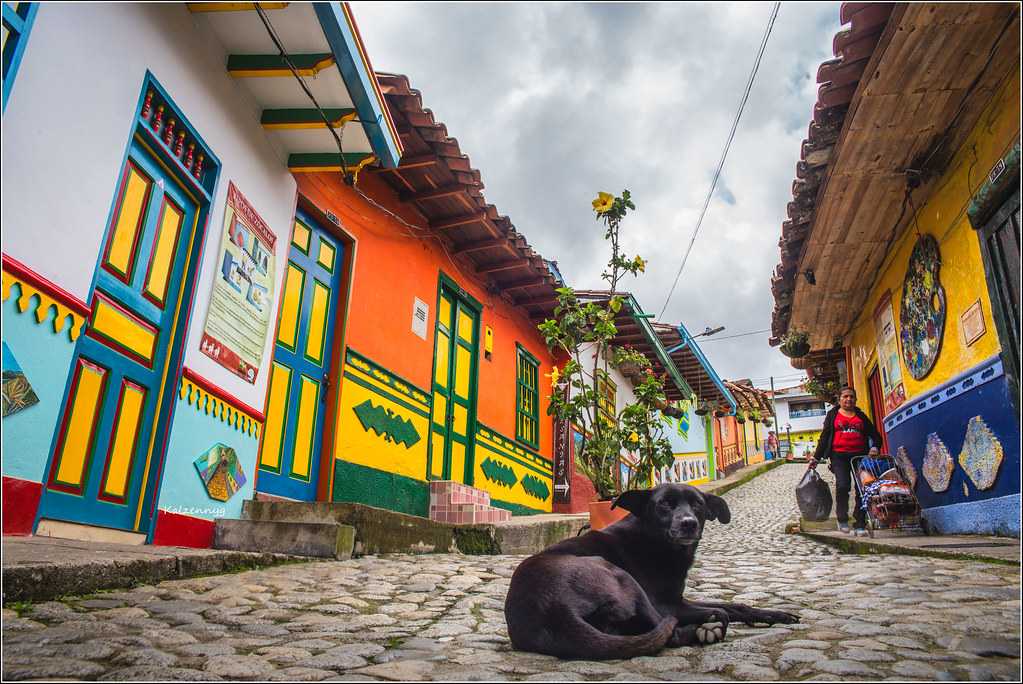 Прогулка по боготе – столице колумбии | fresher - лучшее из рунета за день