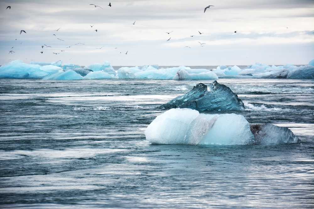 Ледовые условия в гренландии, ледники и айсберги