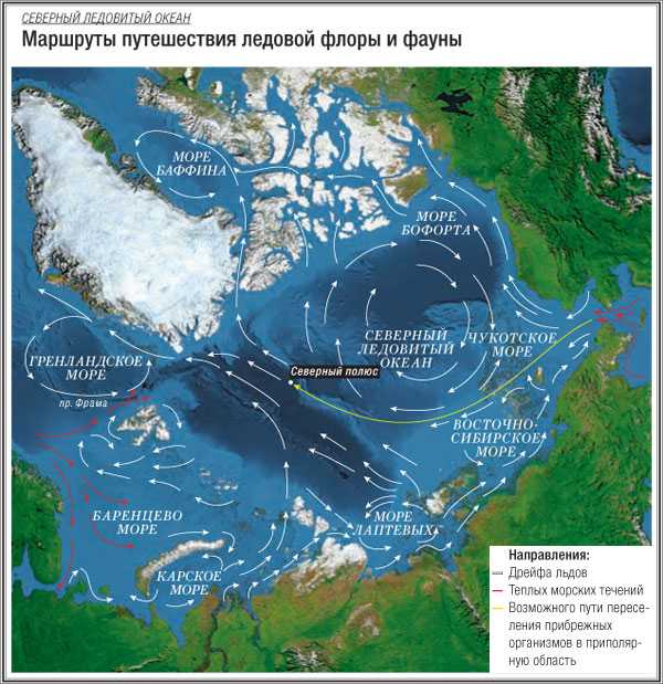Узнай где находится Море Бофорта на карте Канады (С описанием и фотографиями) Море Бофорта со спутника