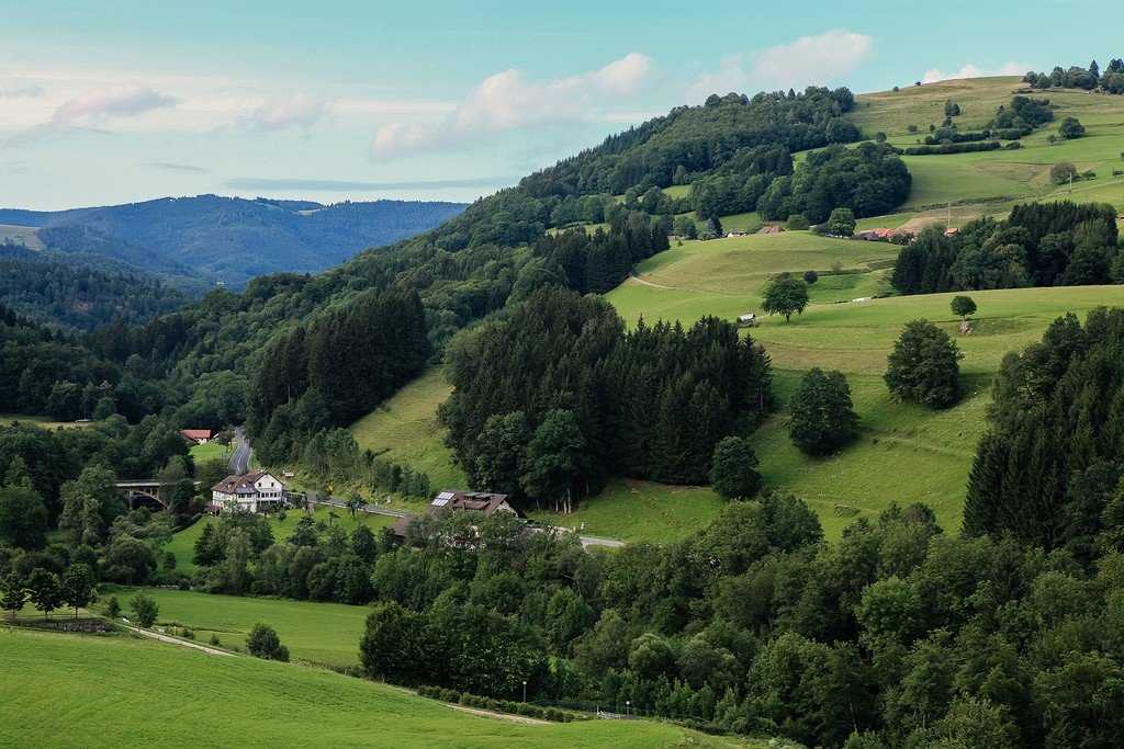 Шварцвальдский лес в германии: как добраться