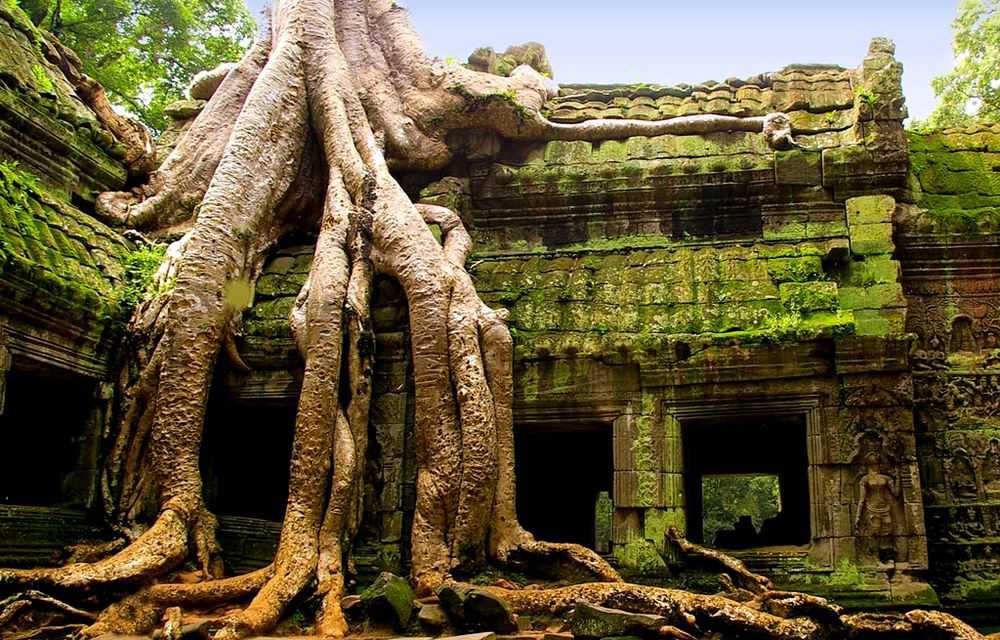Баттамбанг (камбоджа): туристическая информация, достопримечательности