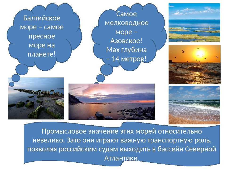 Балтийское море: соленость, глубина, координаты и интересные факты :: syl.ru