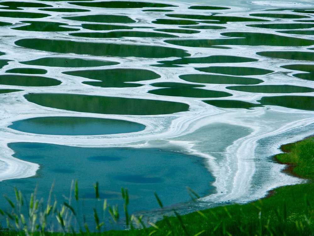 Пятнистое озеро в канаде